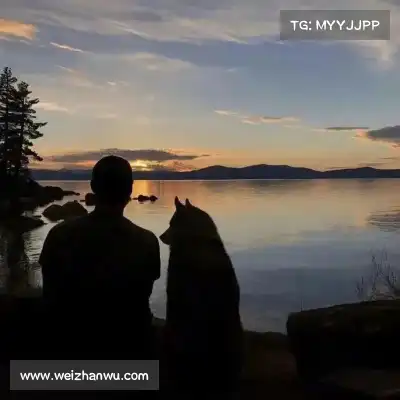 石阔椒